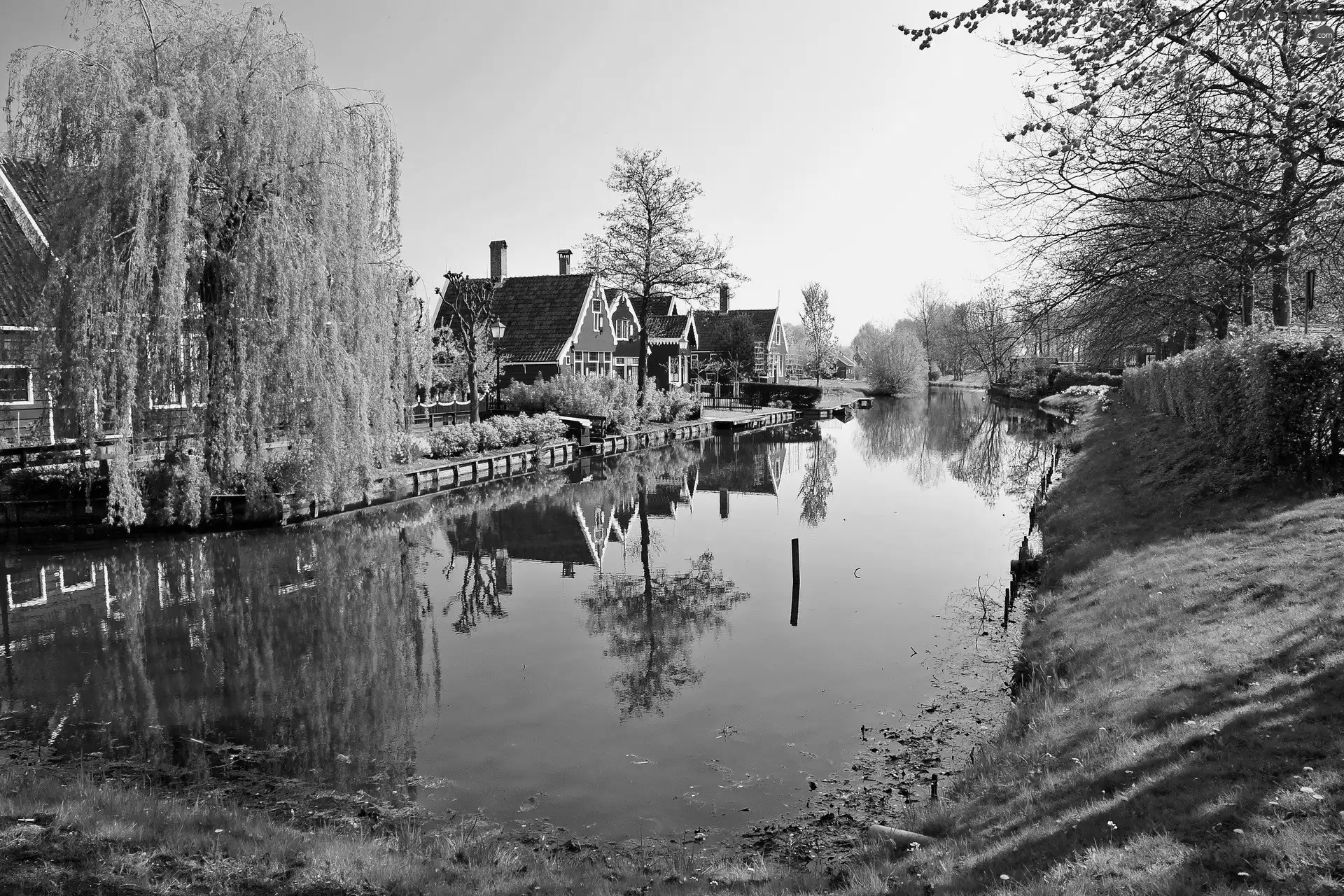 viewes, grass, Houses, trees, Pond - car