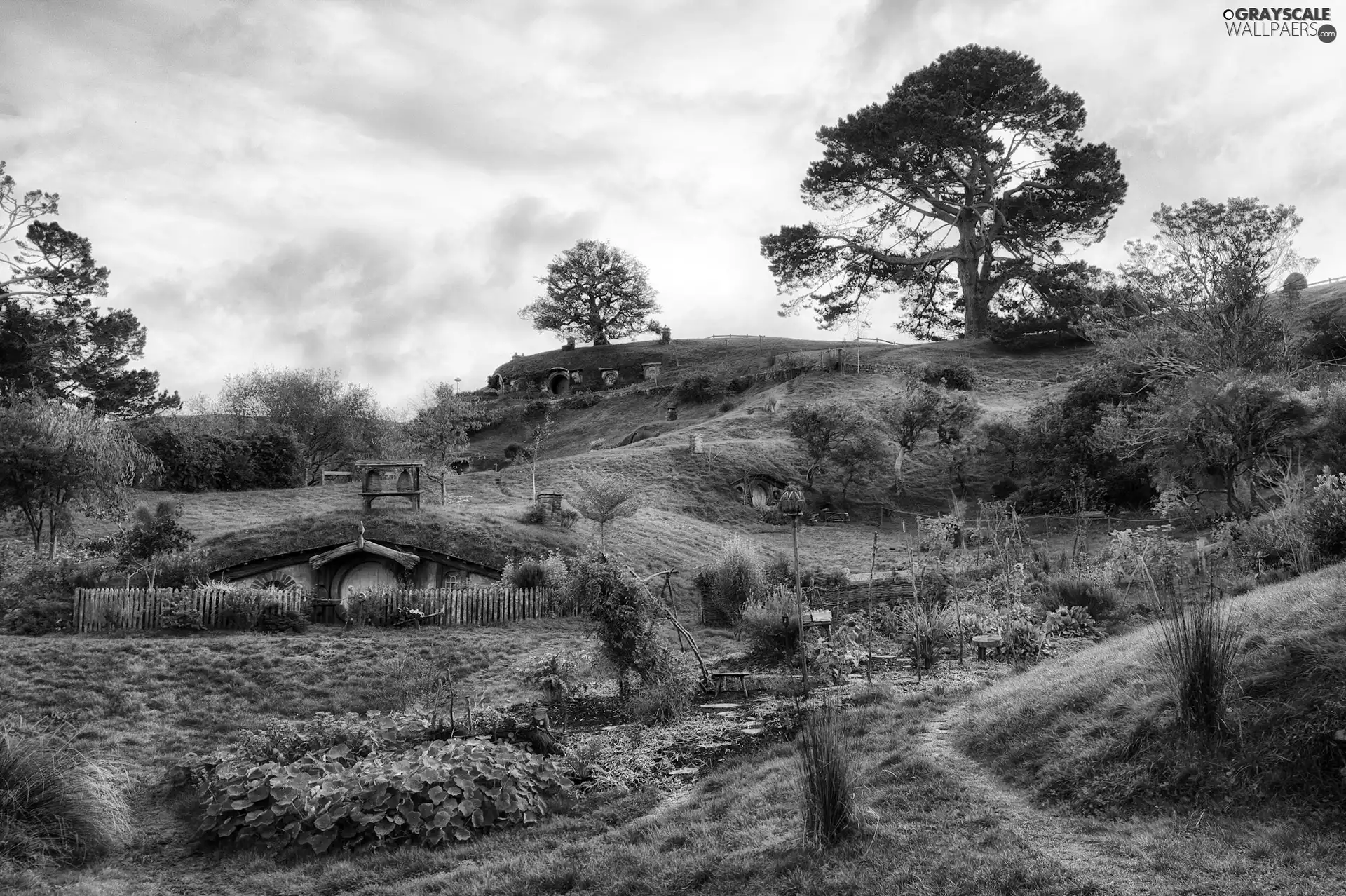 Hobbit, Houses, viewes, green, trees, Clay