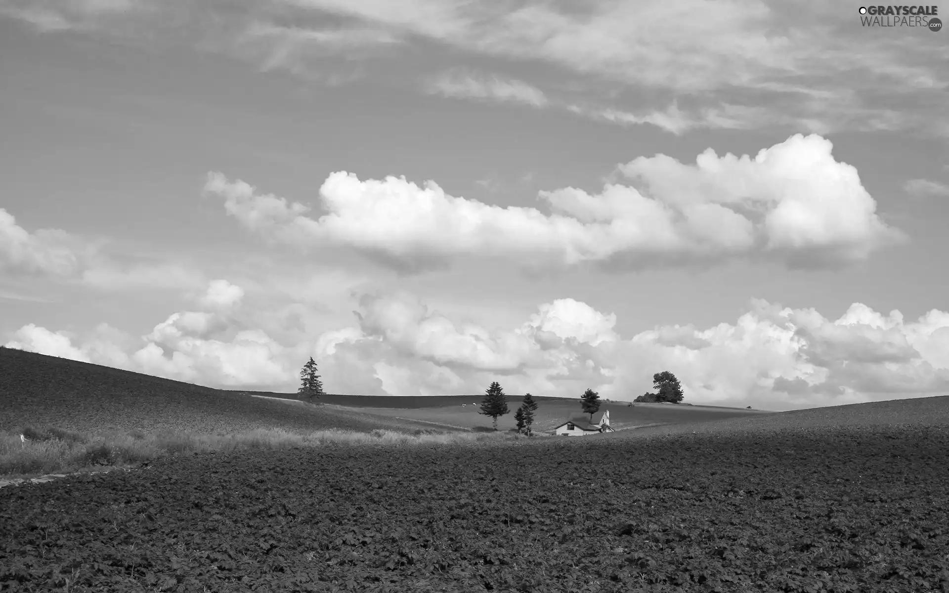 viewes, Home, Field, trees, clouds