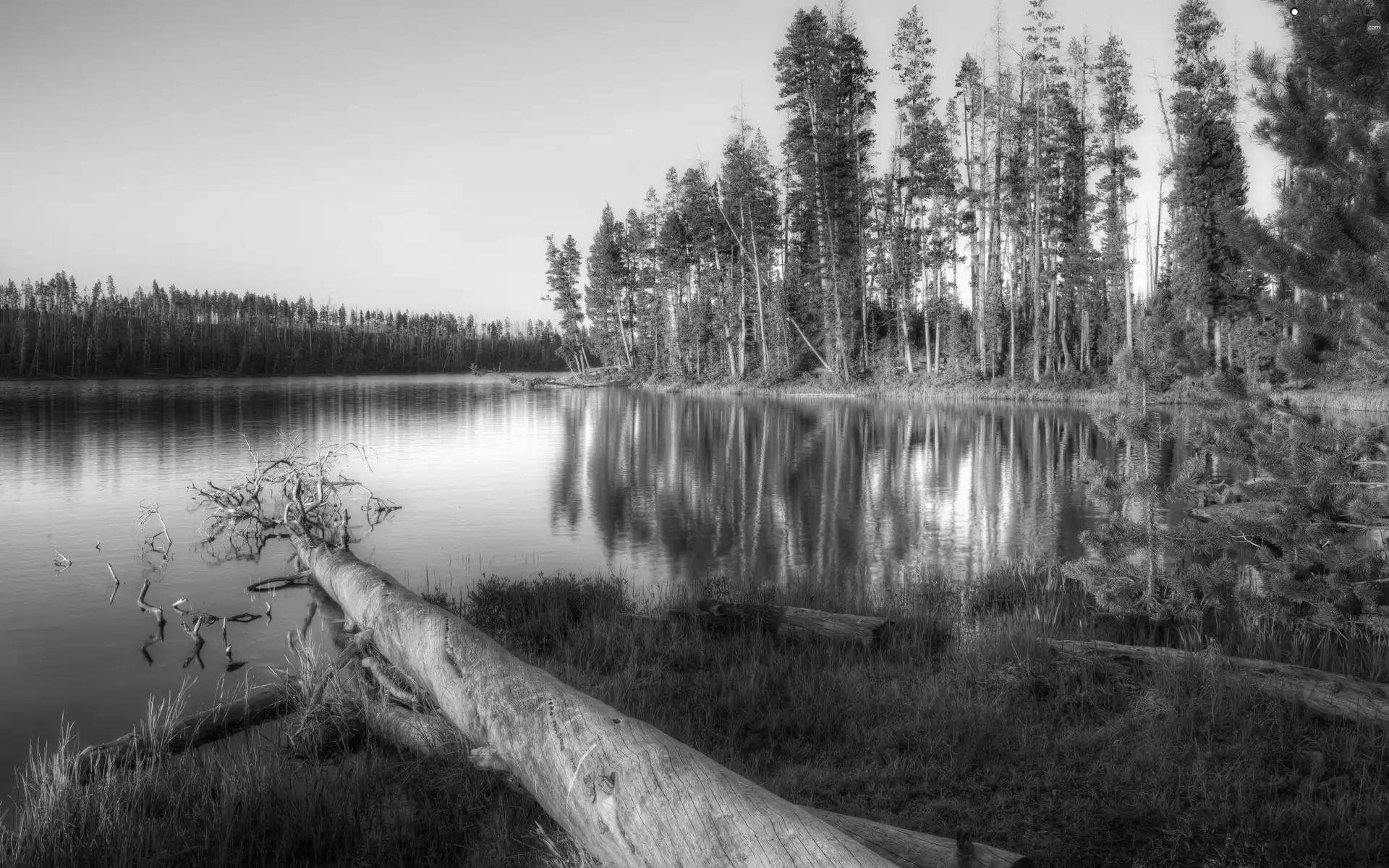 lake, trees, viewes, autumn