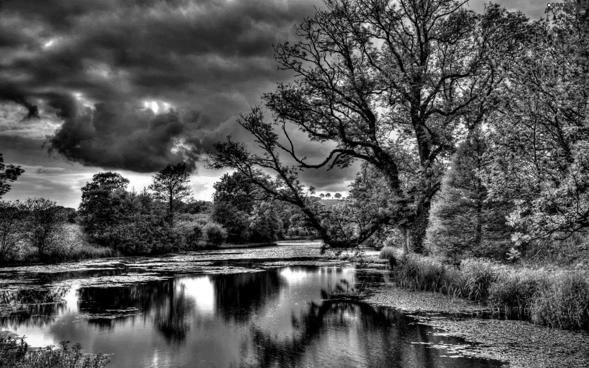 lake, trees, viewes, clouds