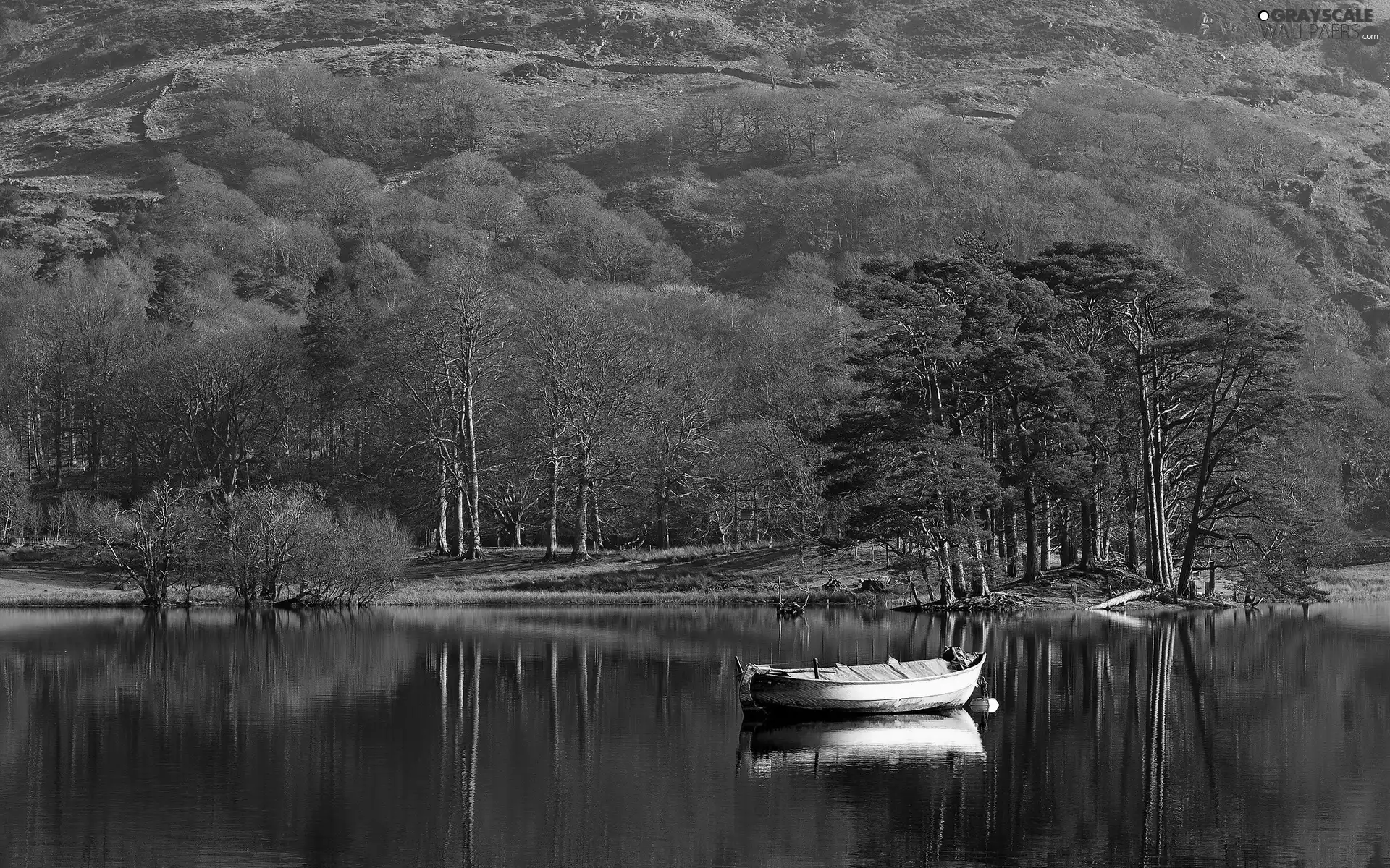 viewes, Mountains, Boat, trees, lake