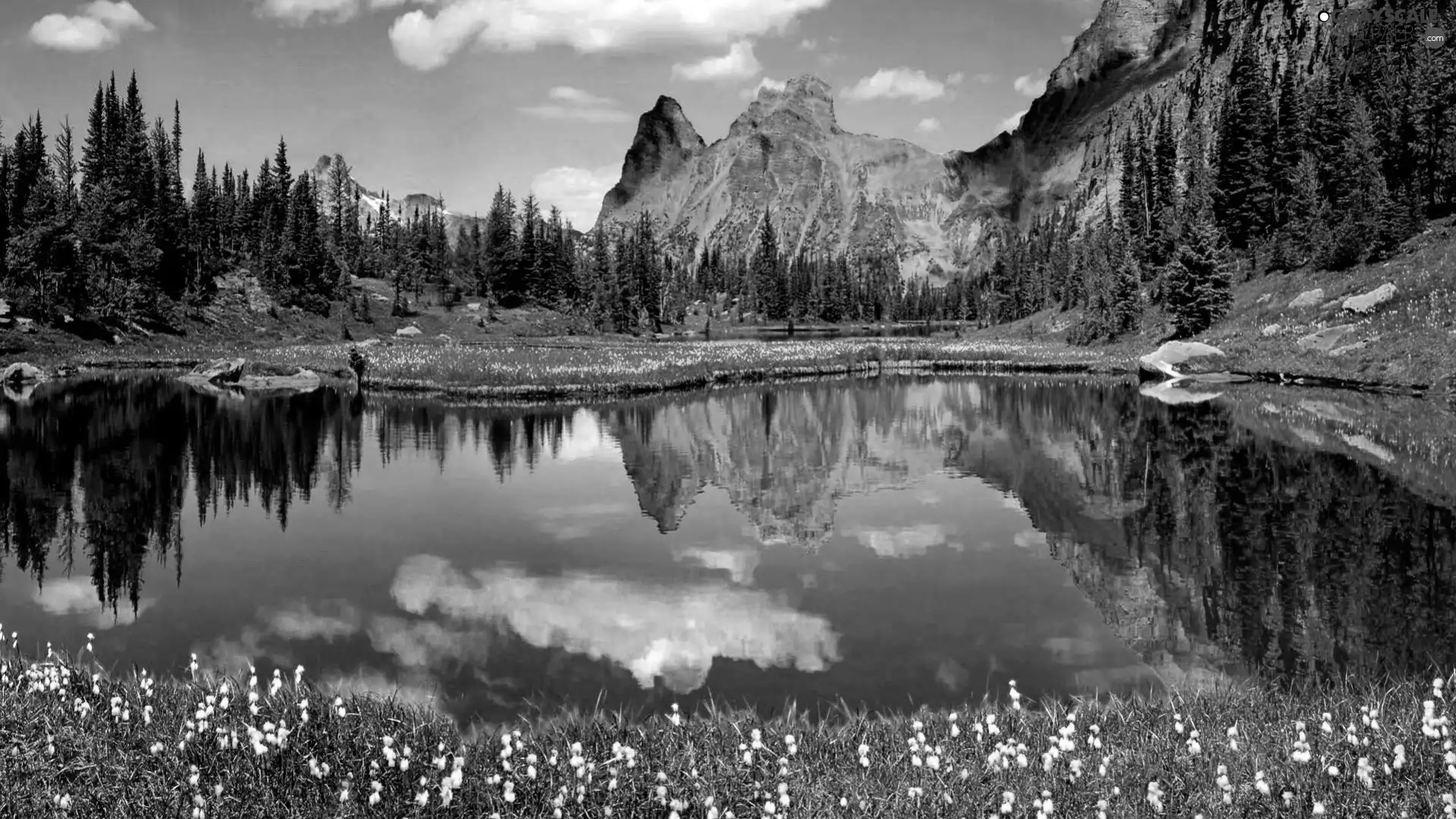 Mountains, trees, viewes, lake