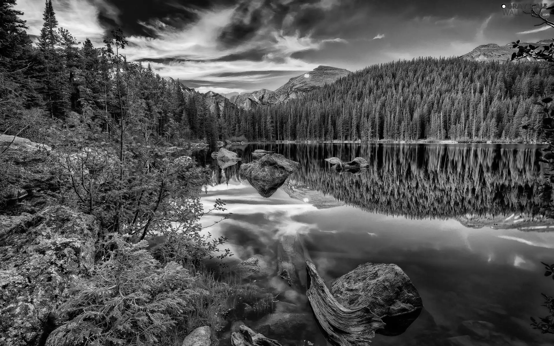 Mountains, trees, viewes, lake