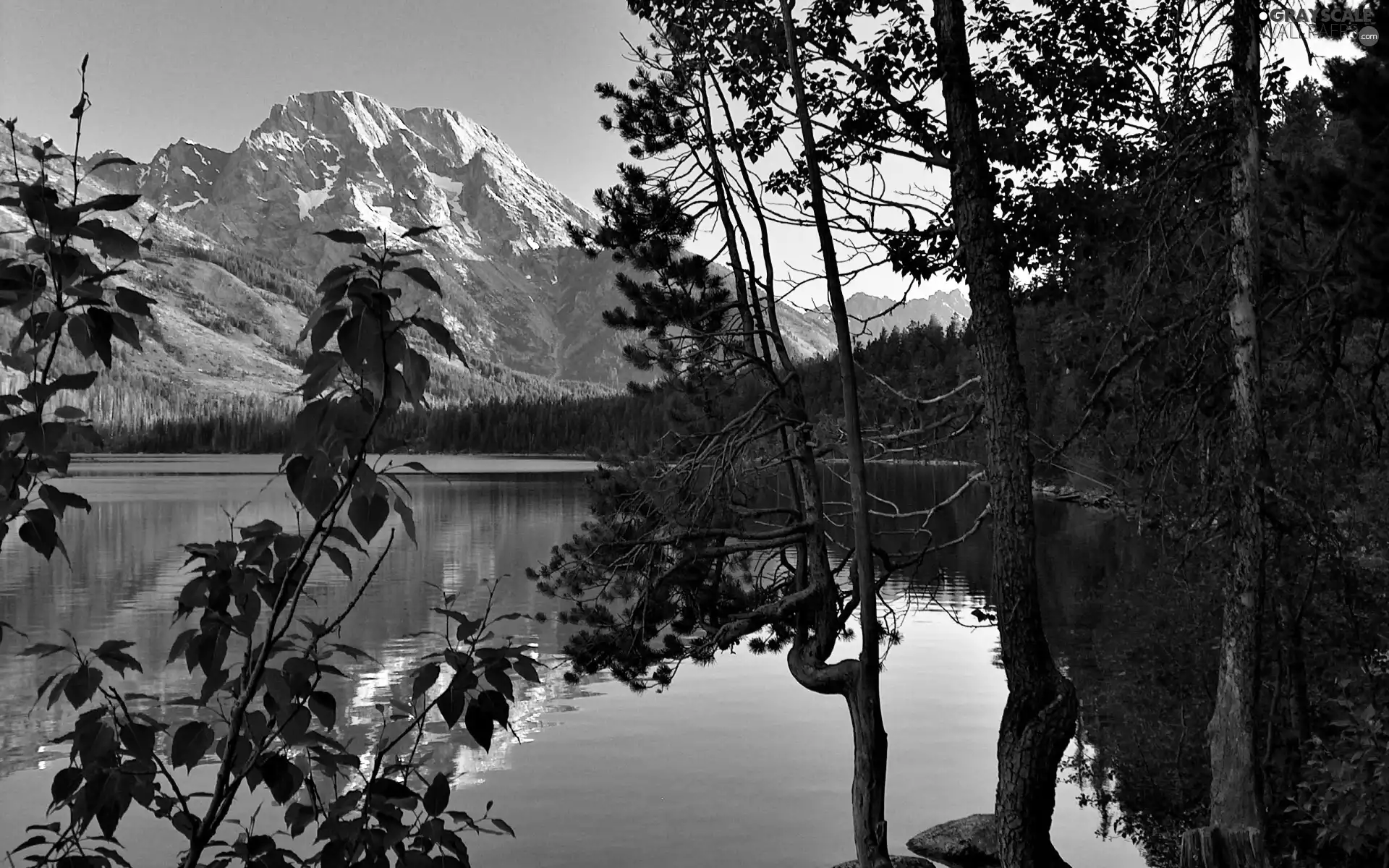 Mountains, trees, viewes, lake