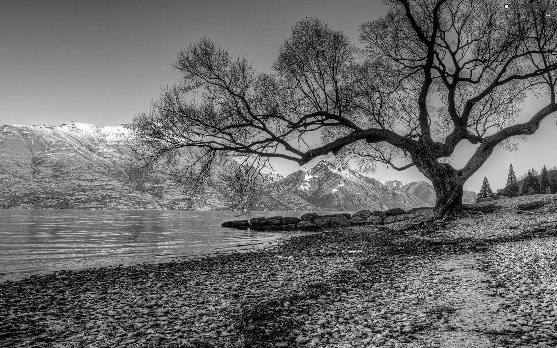 River, trees, viewes, Mountains