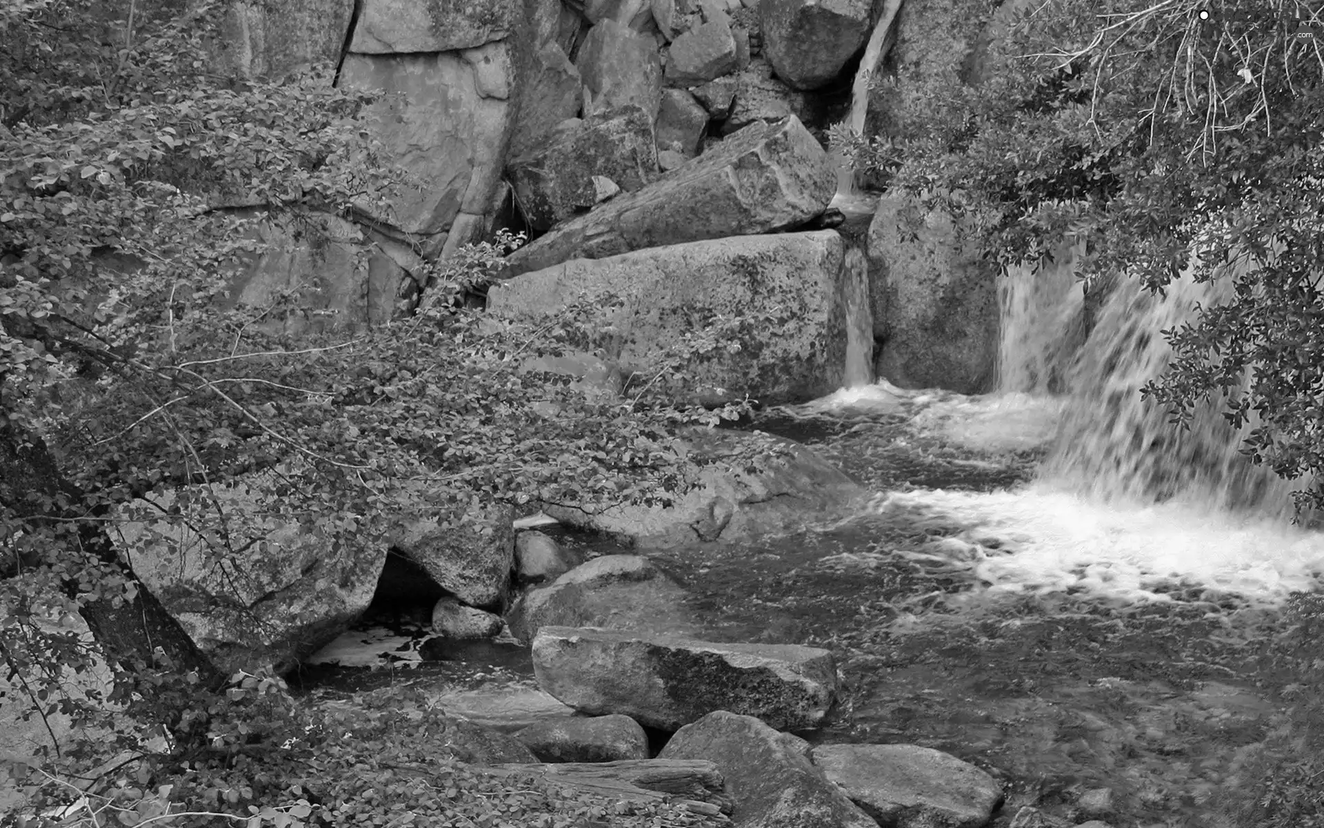 rocks, trees, viewes, waterfall