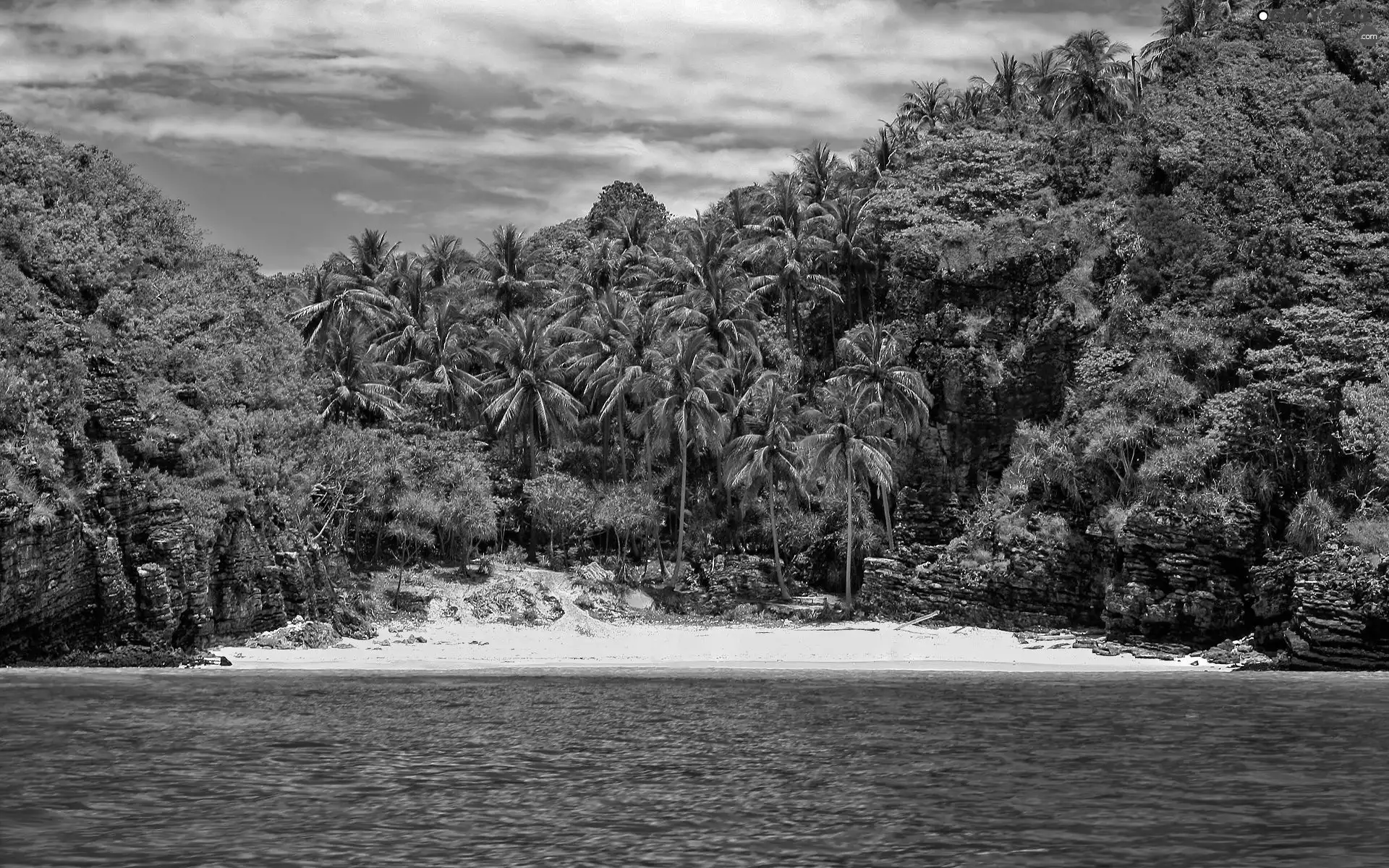 sea, trees, viewes, rocks