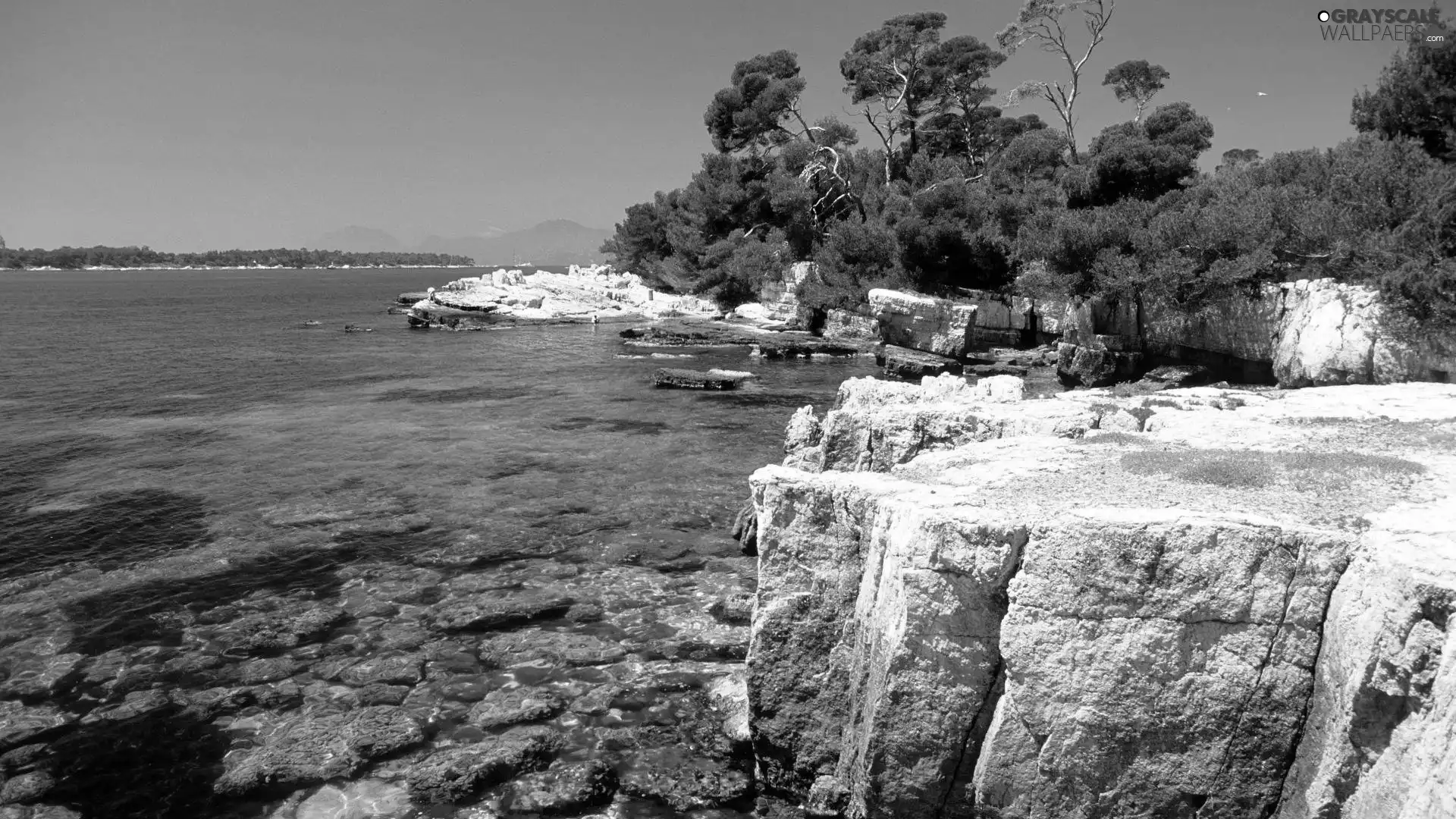 sea, trees, viewes, rocks