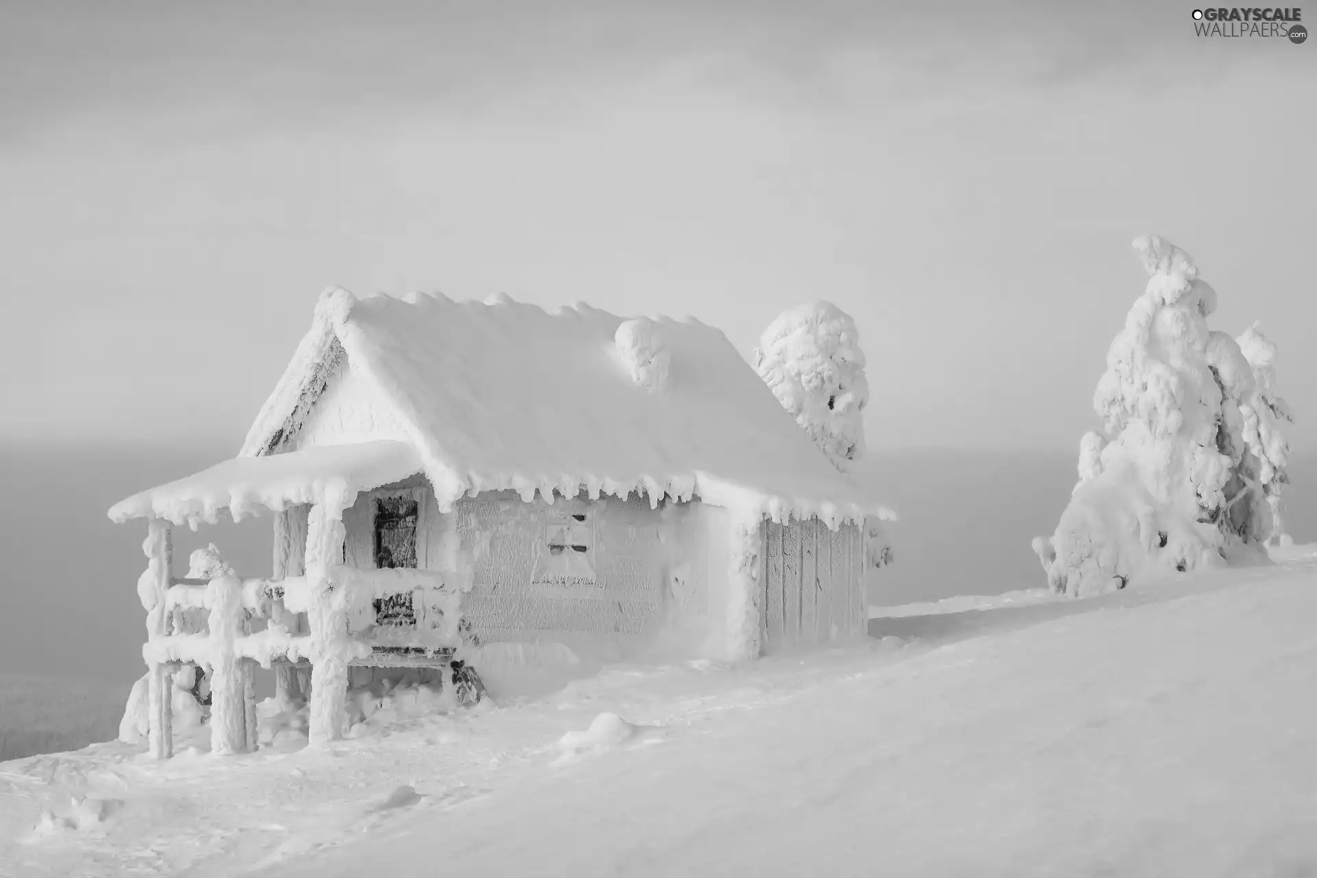 viewes, snow, Home, trees, snowy