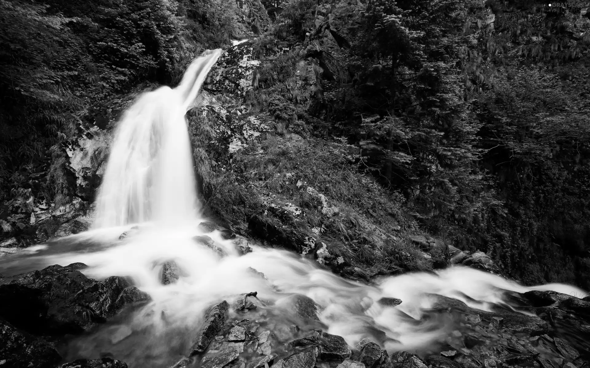 viewes, Stones, cascade, trees, stream