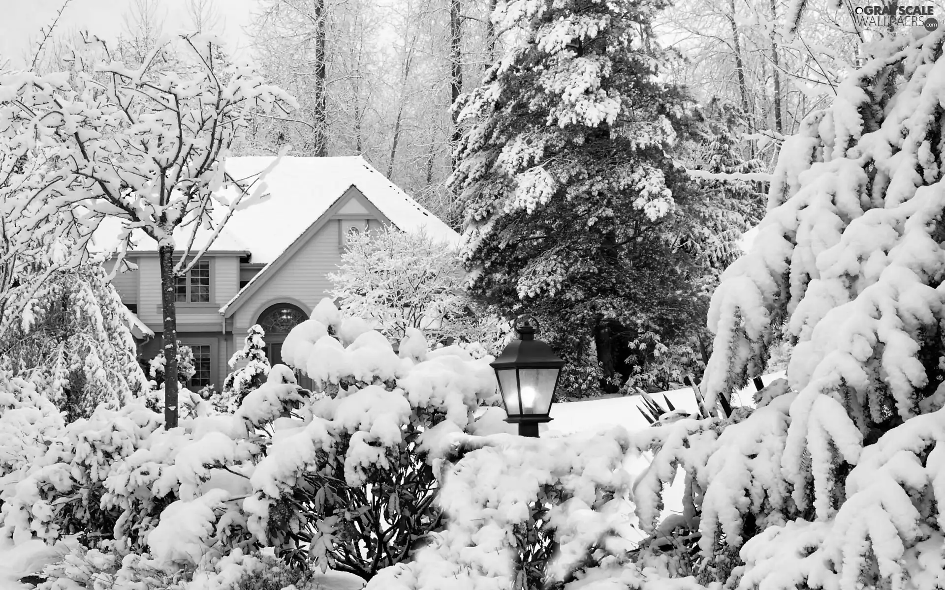 viewes, winter, Snowy, trees, house