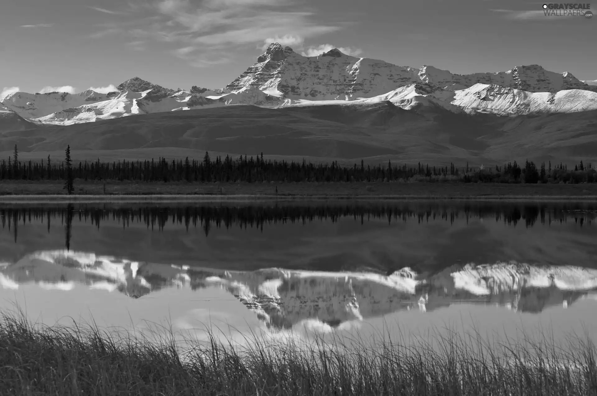 water, reflection, trees, viewes, Mountains