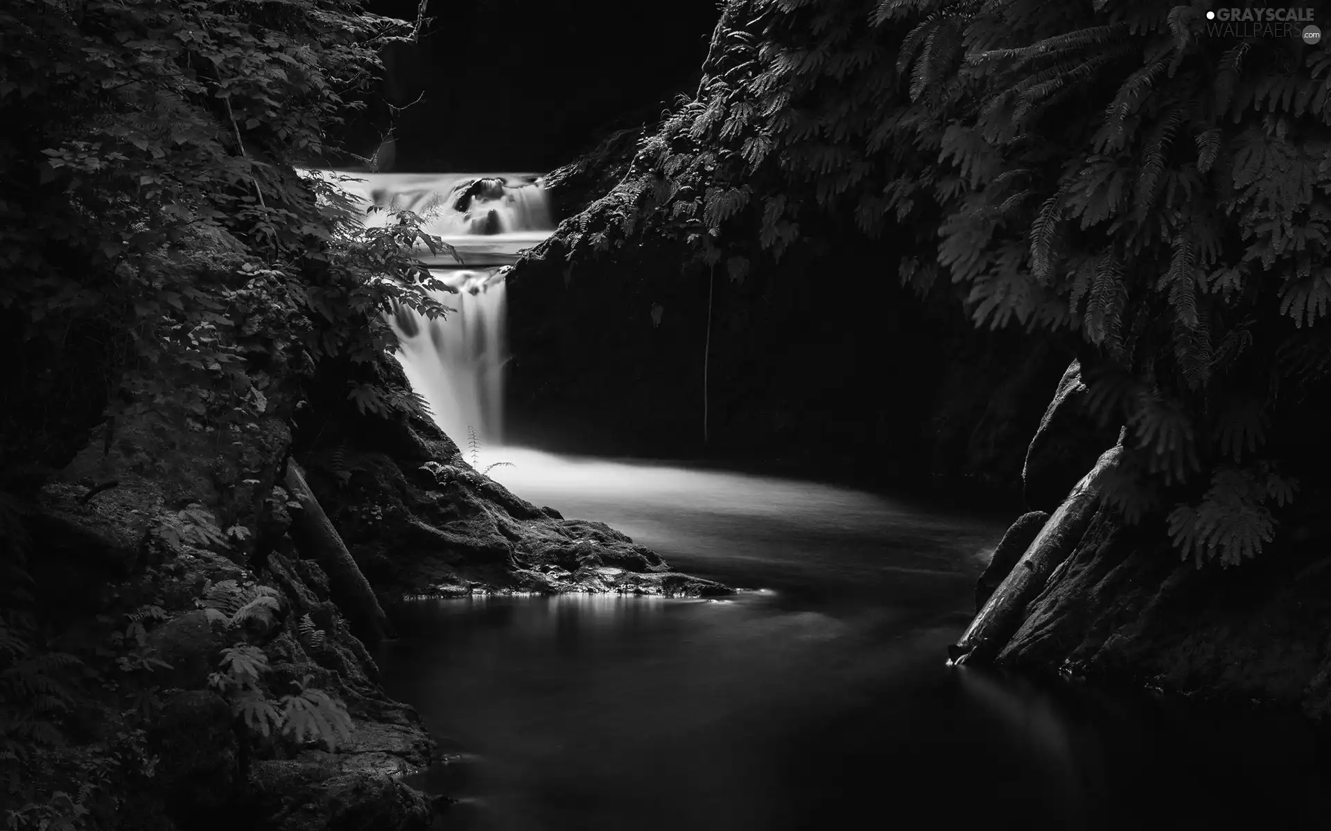 waterfall, dark, forest