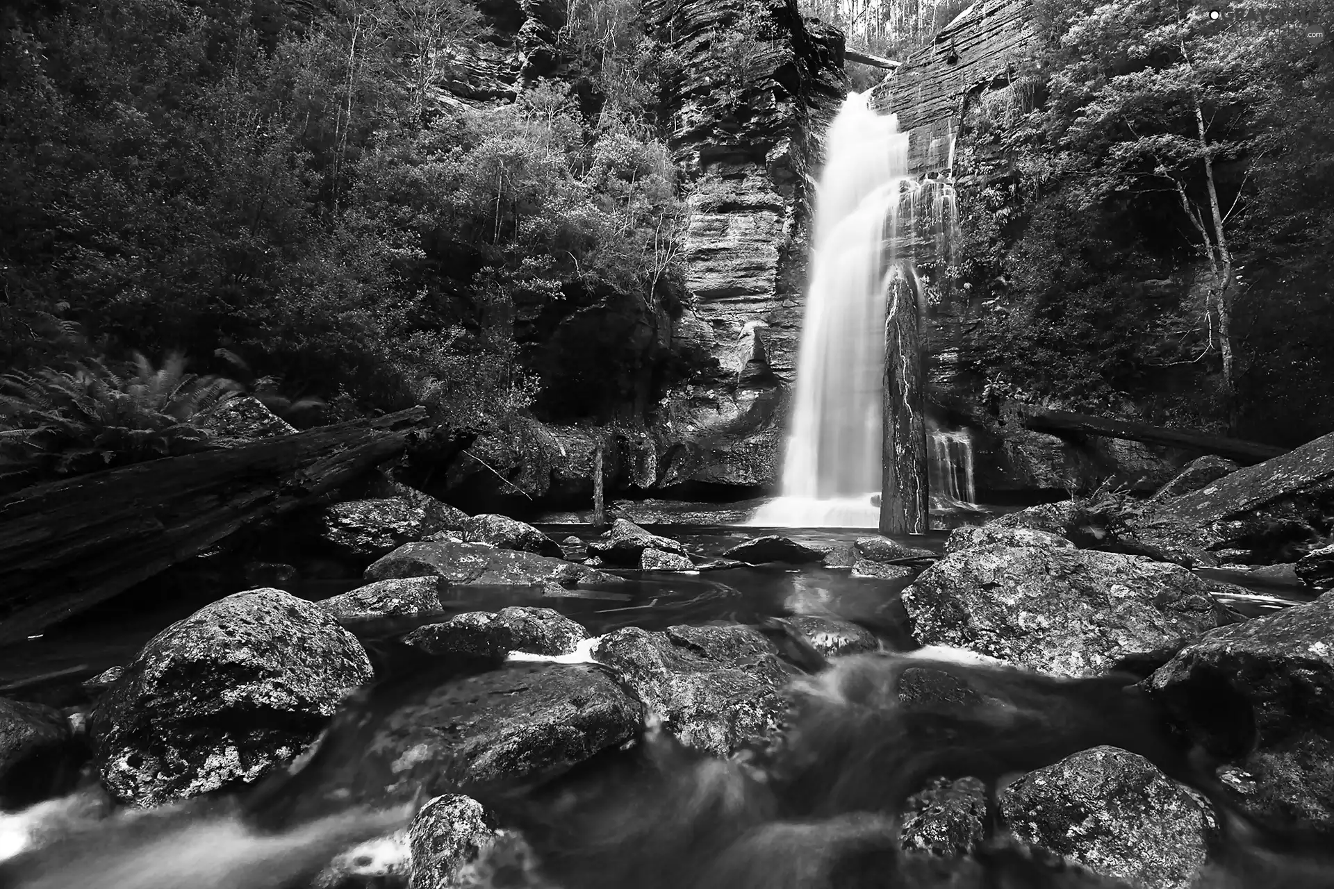 waterfall, rocks, forest