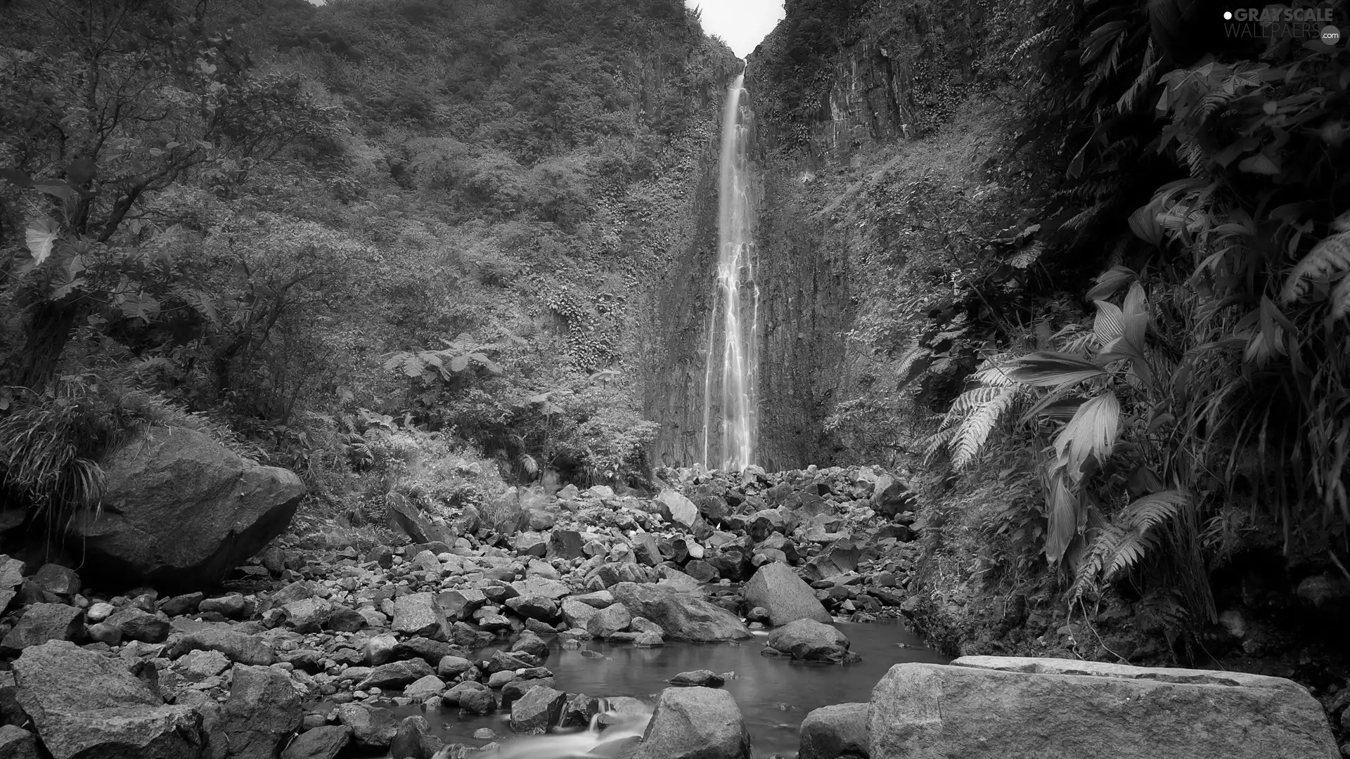 waterfall, Plants, rocks, Stones, Mountains