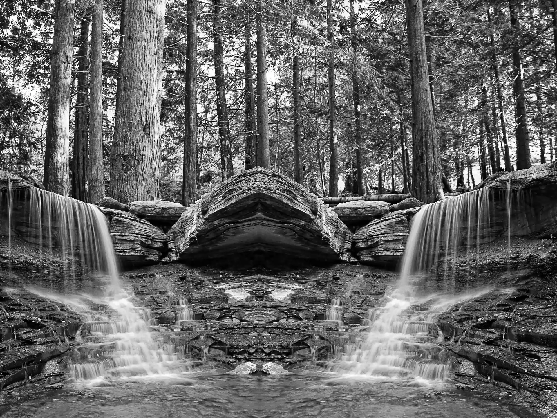 waterfall, forest, rocks