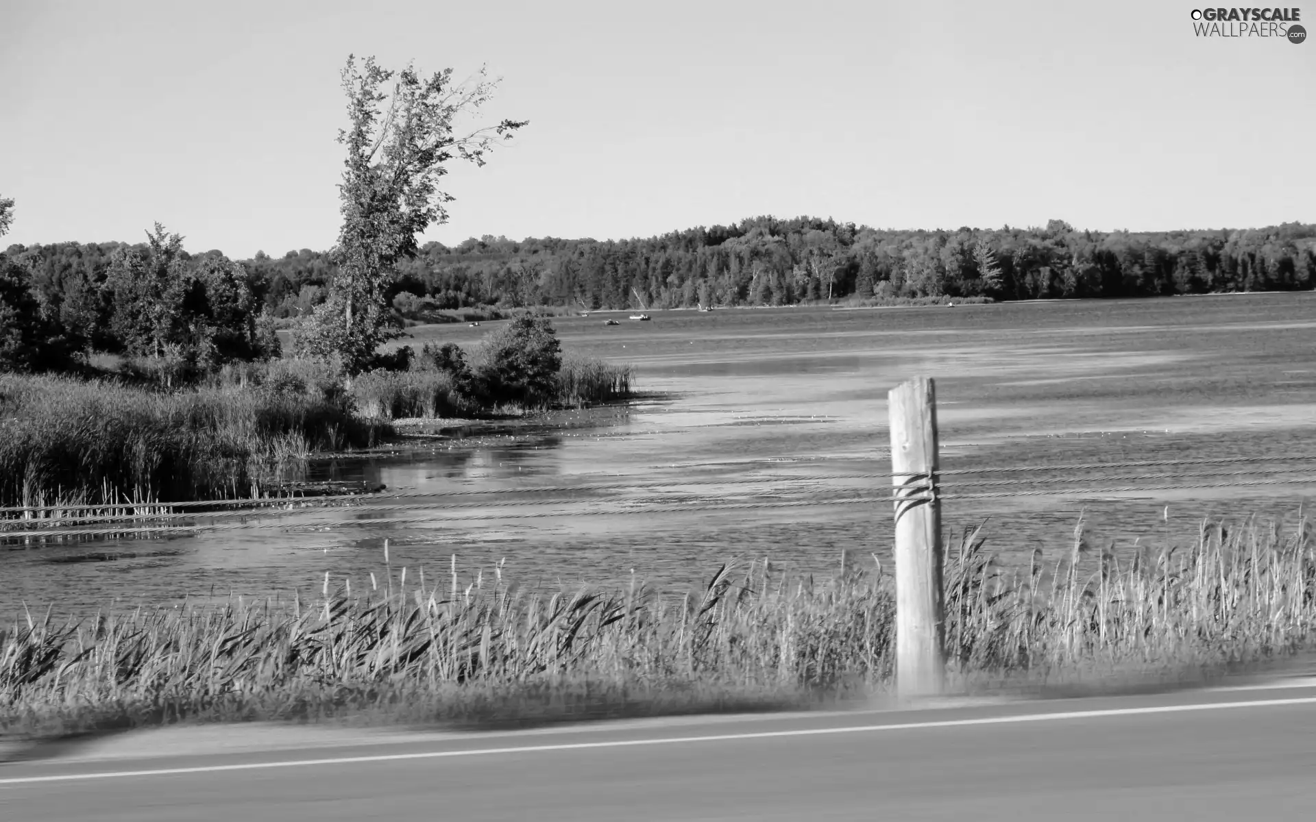 lake, woods, Way, Boats