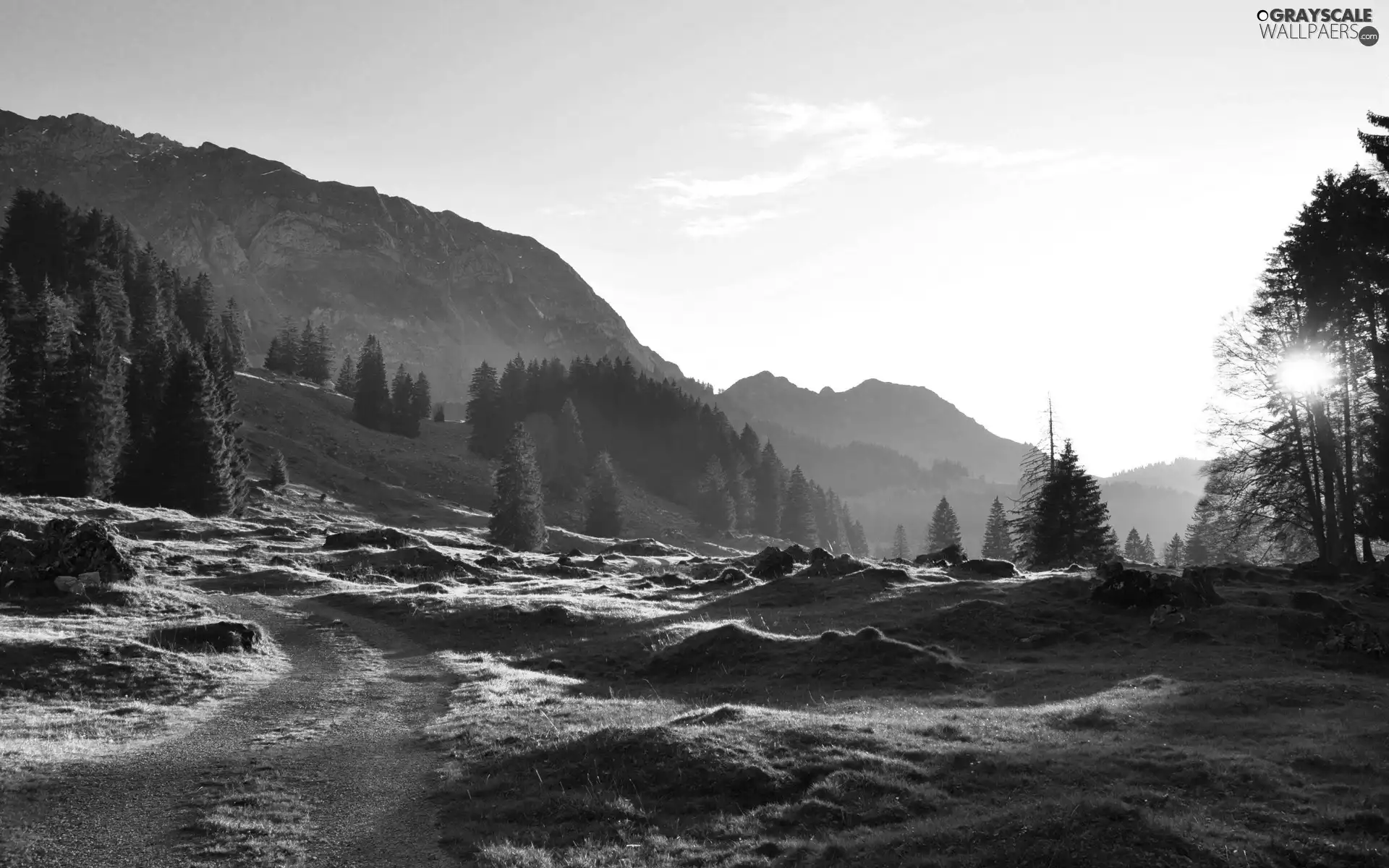 Mountains, Meadow, Way, woods