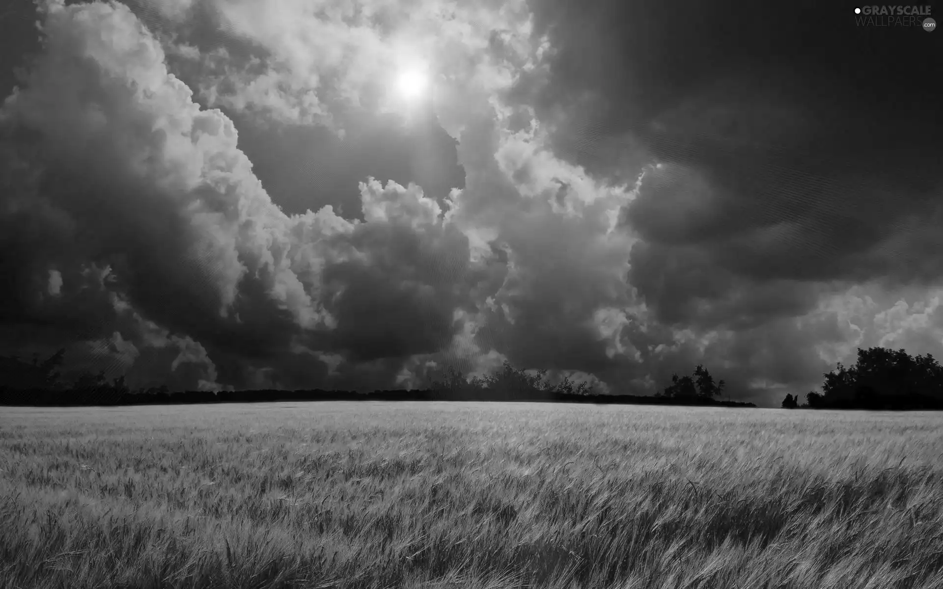 west, Field, clouds