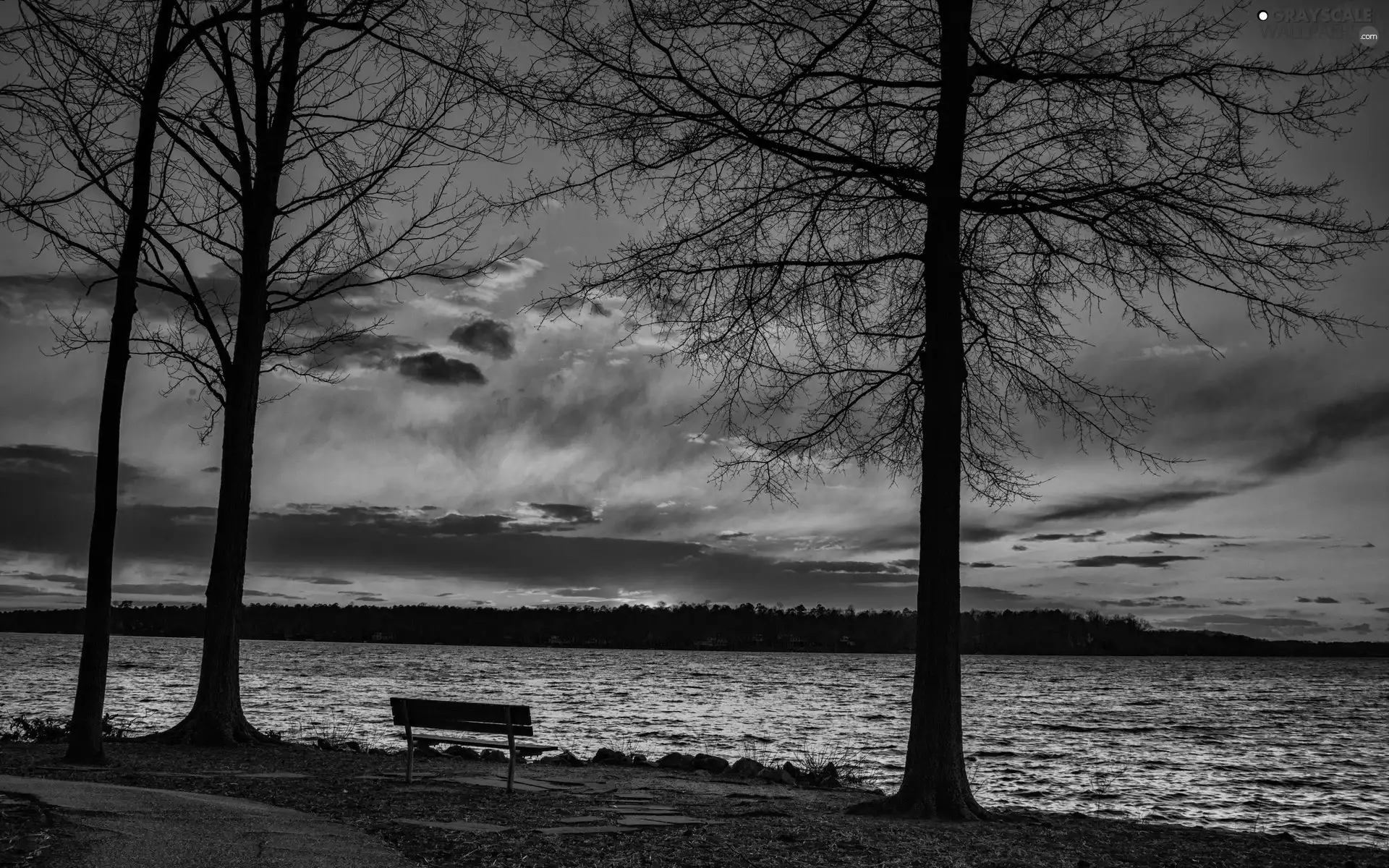 viewes, River, west, sun, Bench, trees