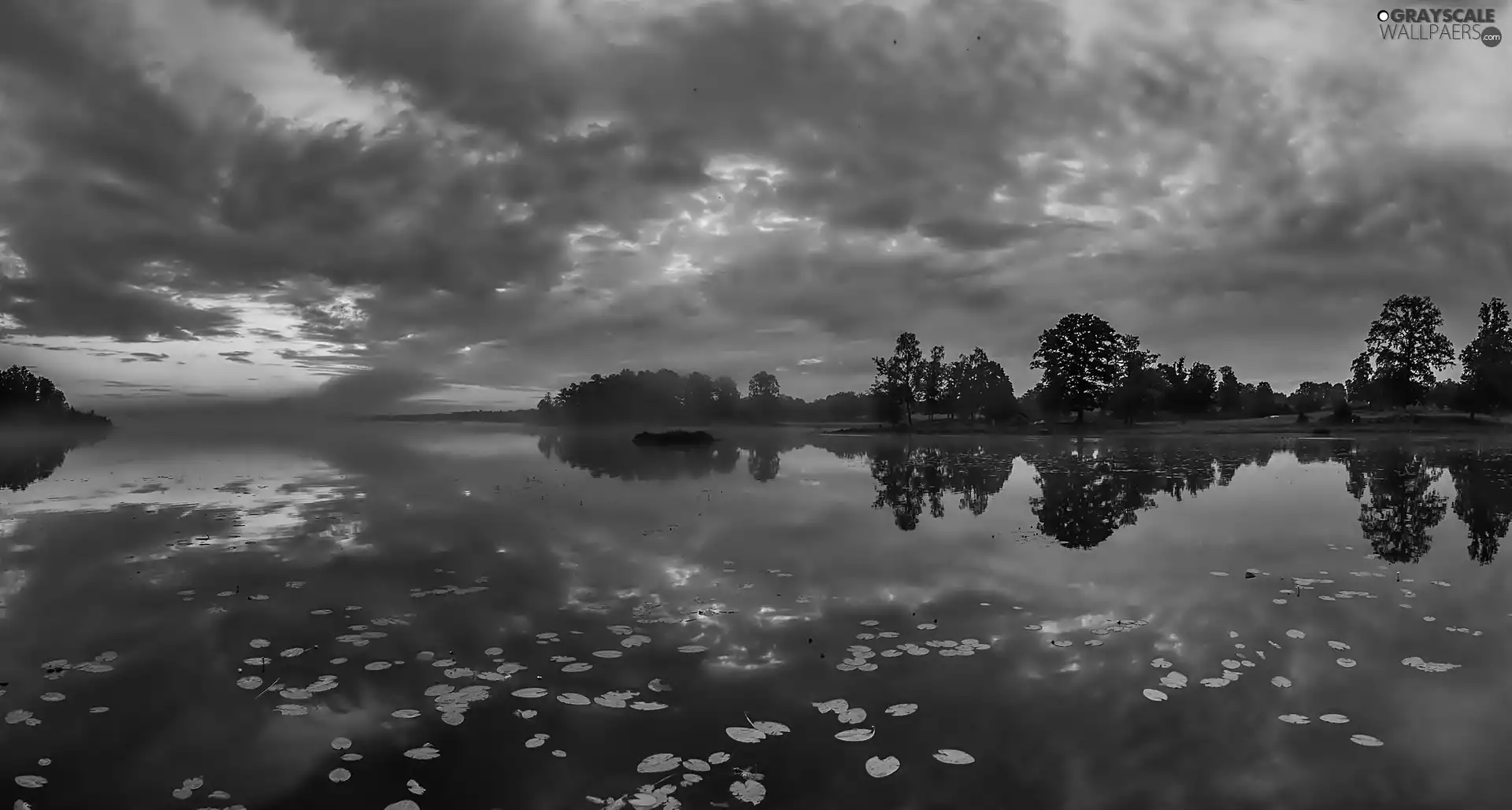 viewes, lake, west, sun, clouds, trees