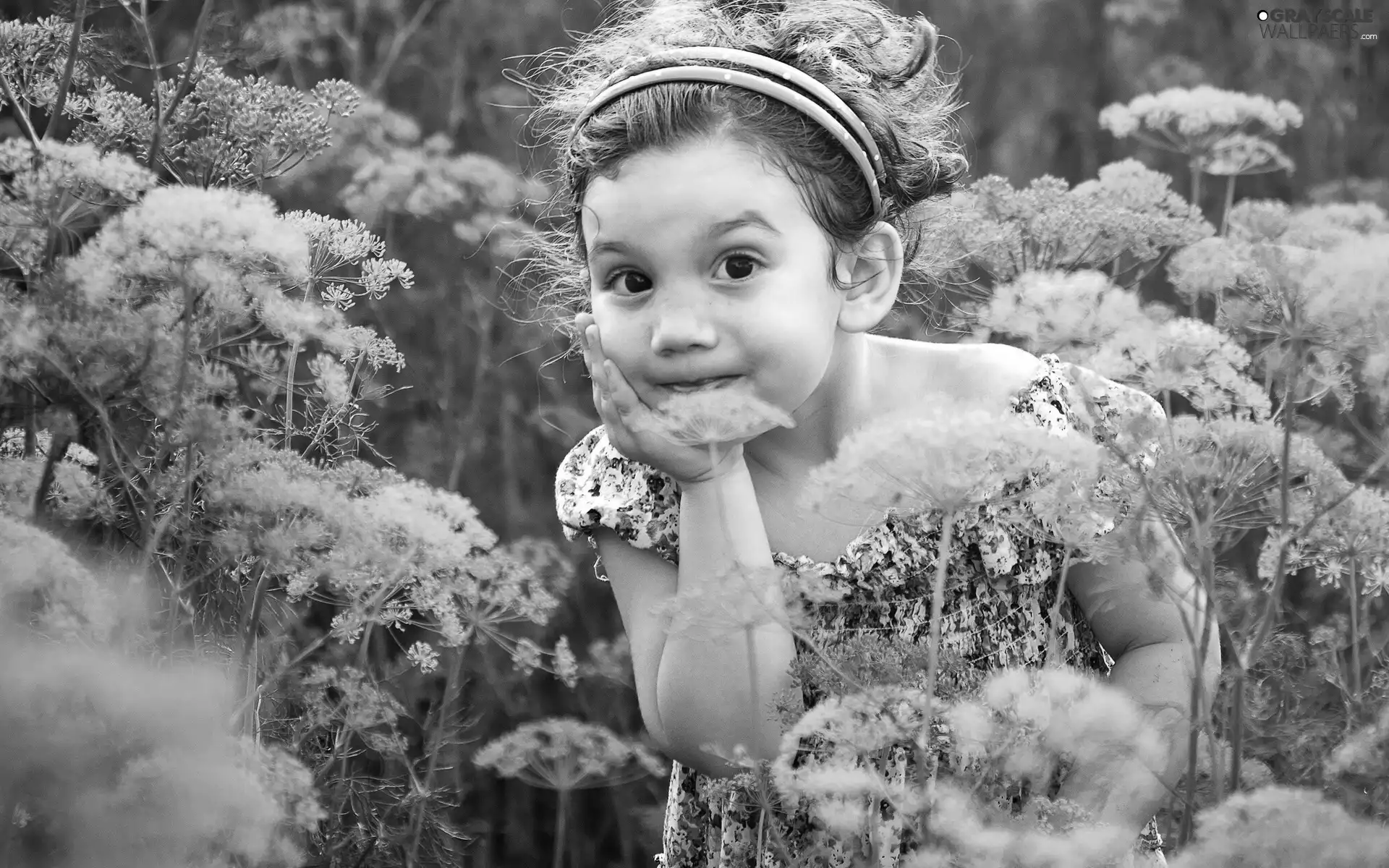 Wildflowers, Flowers, girl, Meadow, small