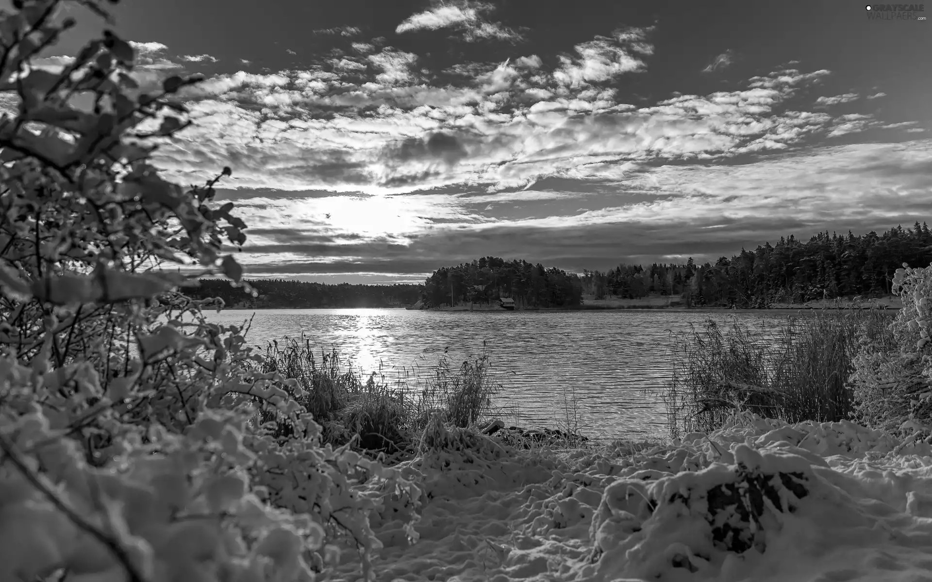 clouds, woods, winter, River