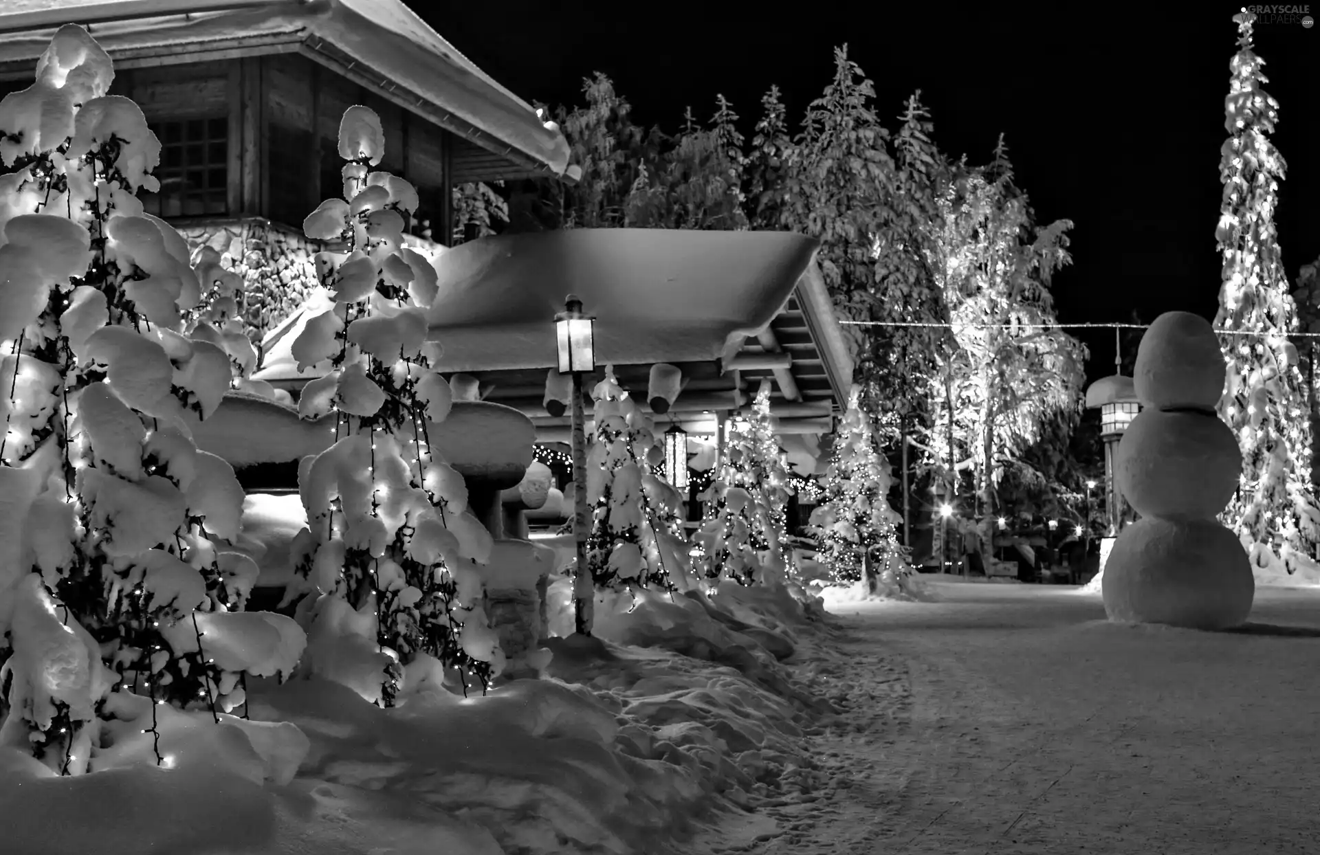 Floodlit, Night, winter, house