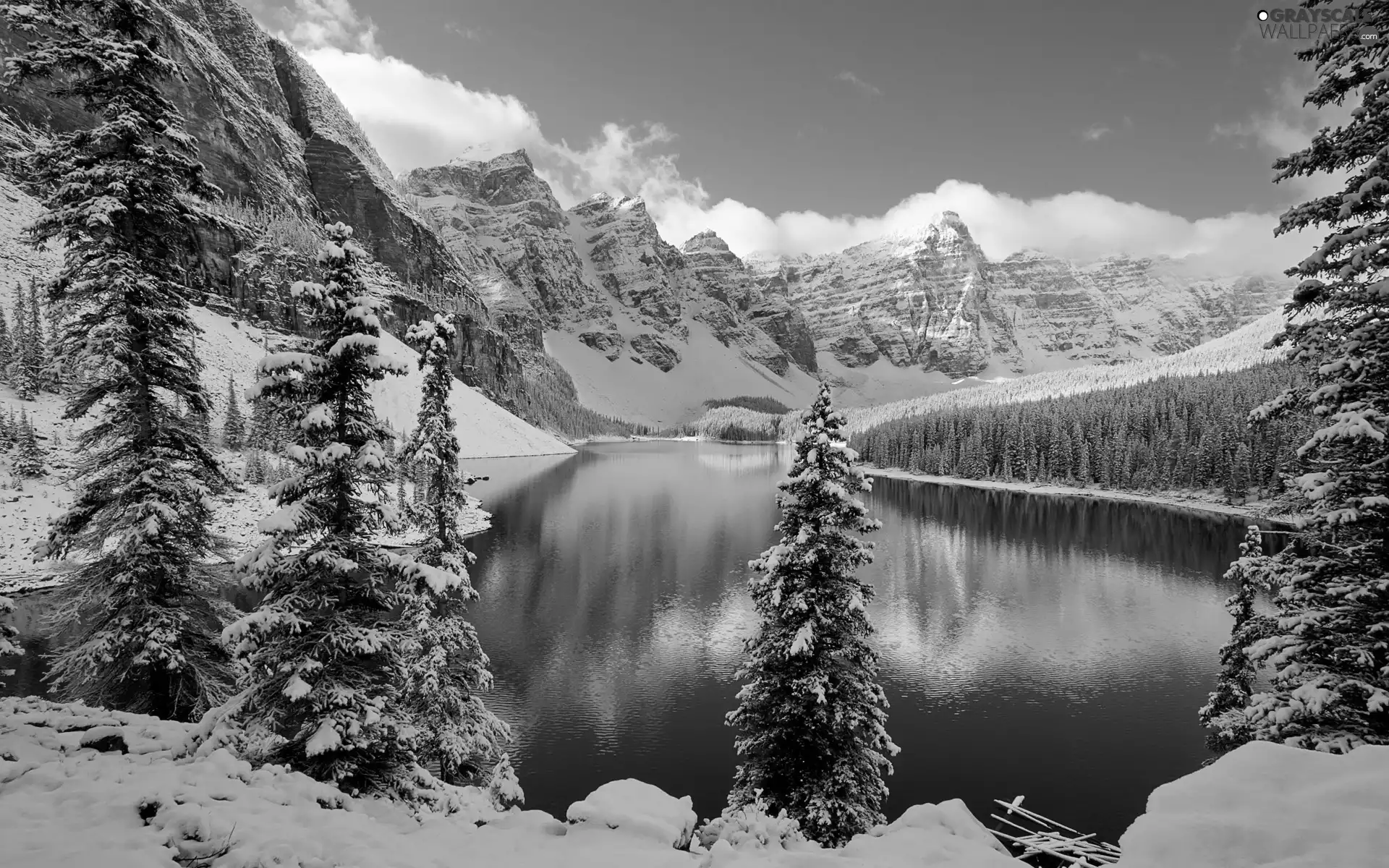 Winter, scenery, River, Spruces, Mountains