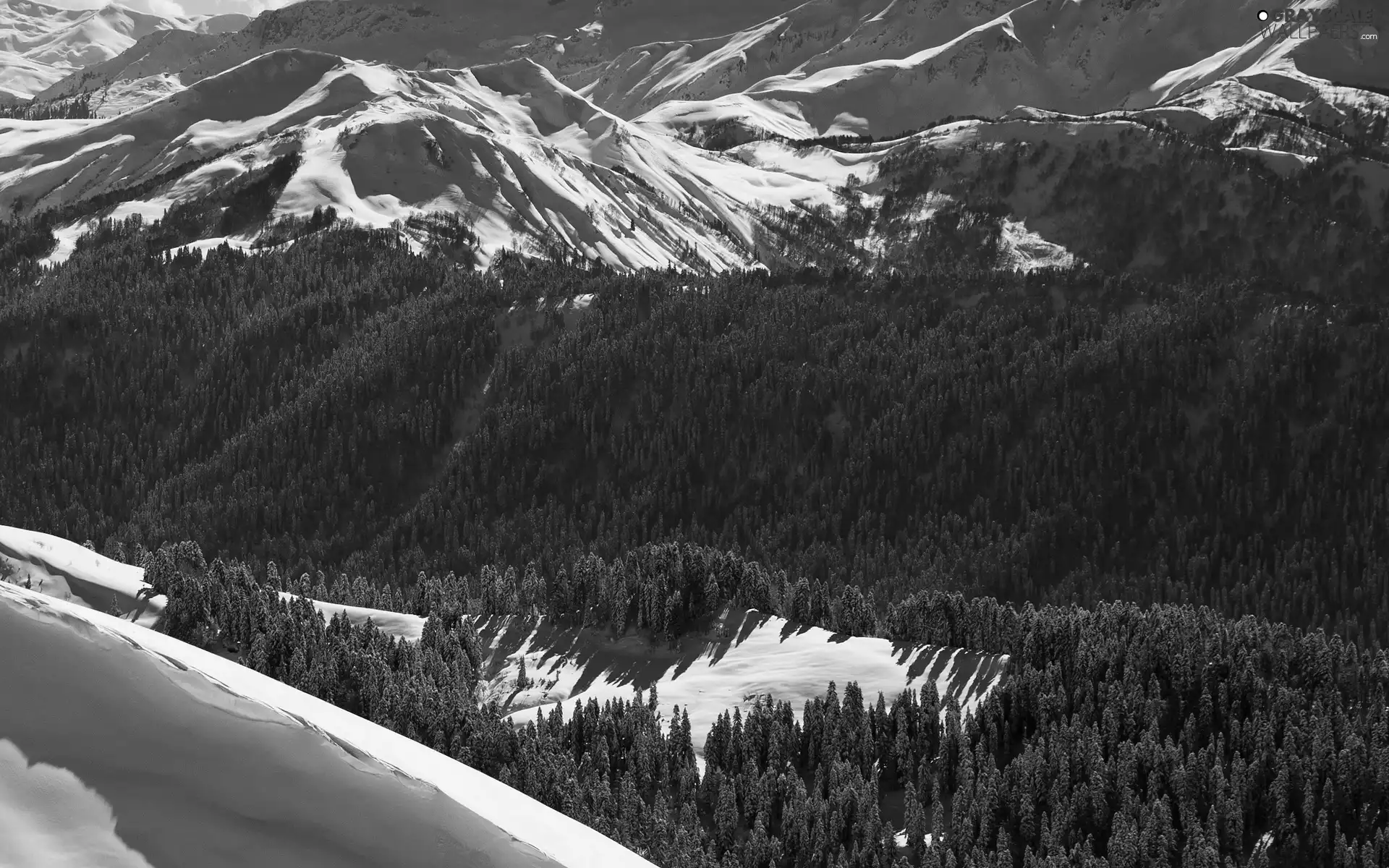 winter, Mountains, woods