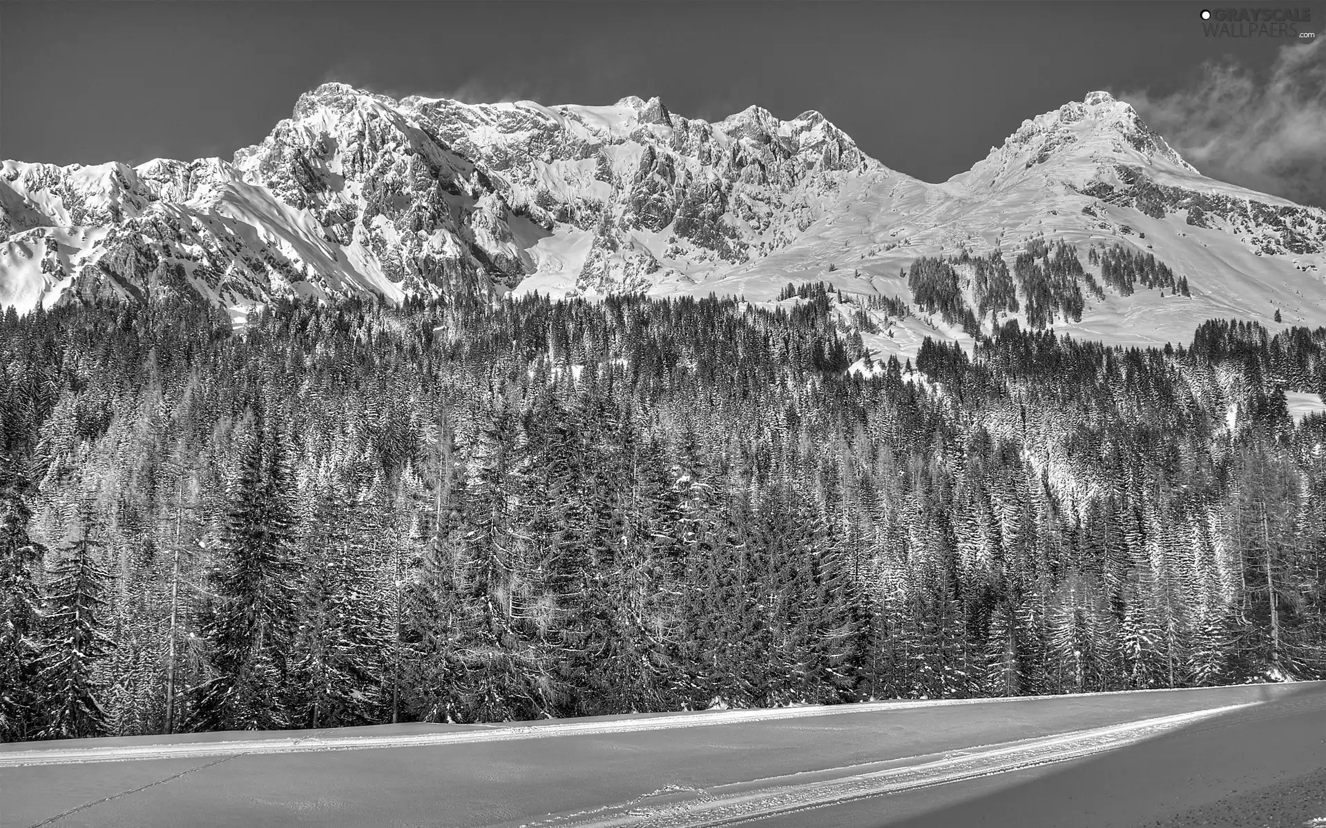 winter, Mountains, woods