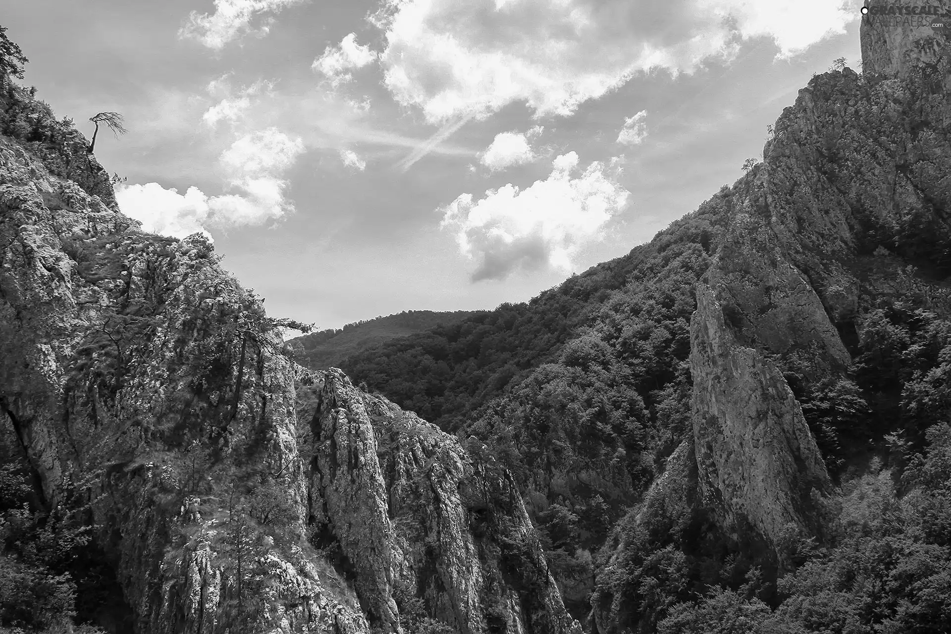 woods, Mountains, rocks