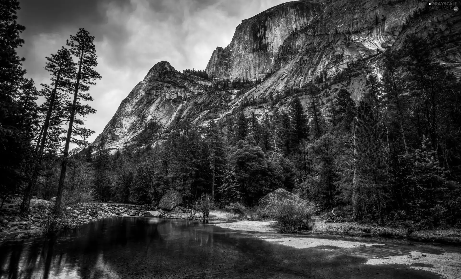 River, State of California, trees, Yosemite National Park, The United States, Mountains, viewes